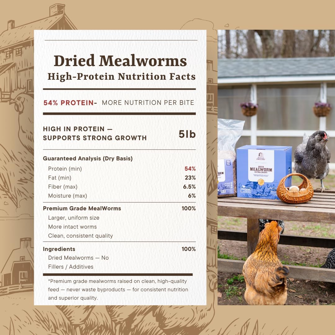 Dried Mealworms for Chickens – High Protein Chicken Treats for Egg Production & Flock Health – Bulk Mealworms for Ducks, Wild Birds, Reptiles & Backyard Poultry Feed, 5lb