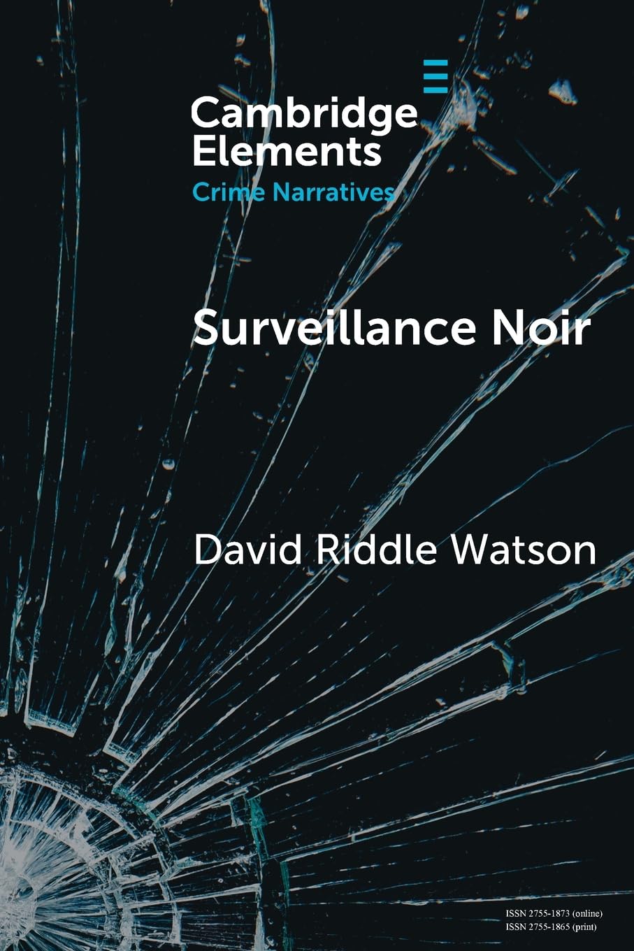 Surveillance Noir: Being Watched in Twenty-First-Century Film and Literature (Elements in Crime Narratives)