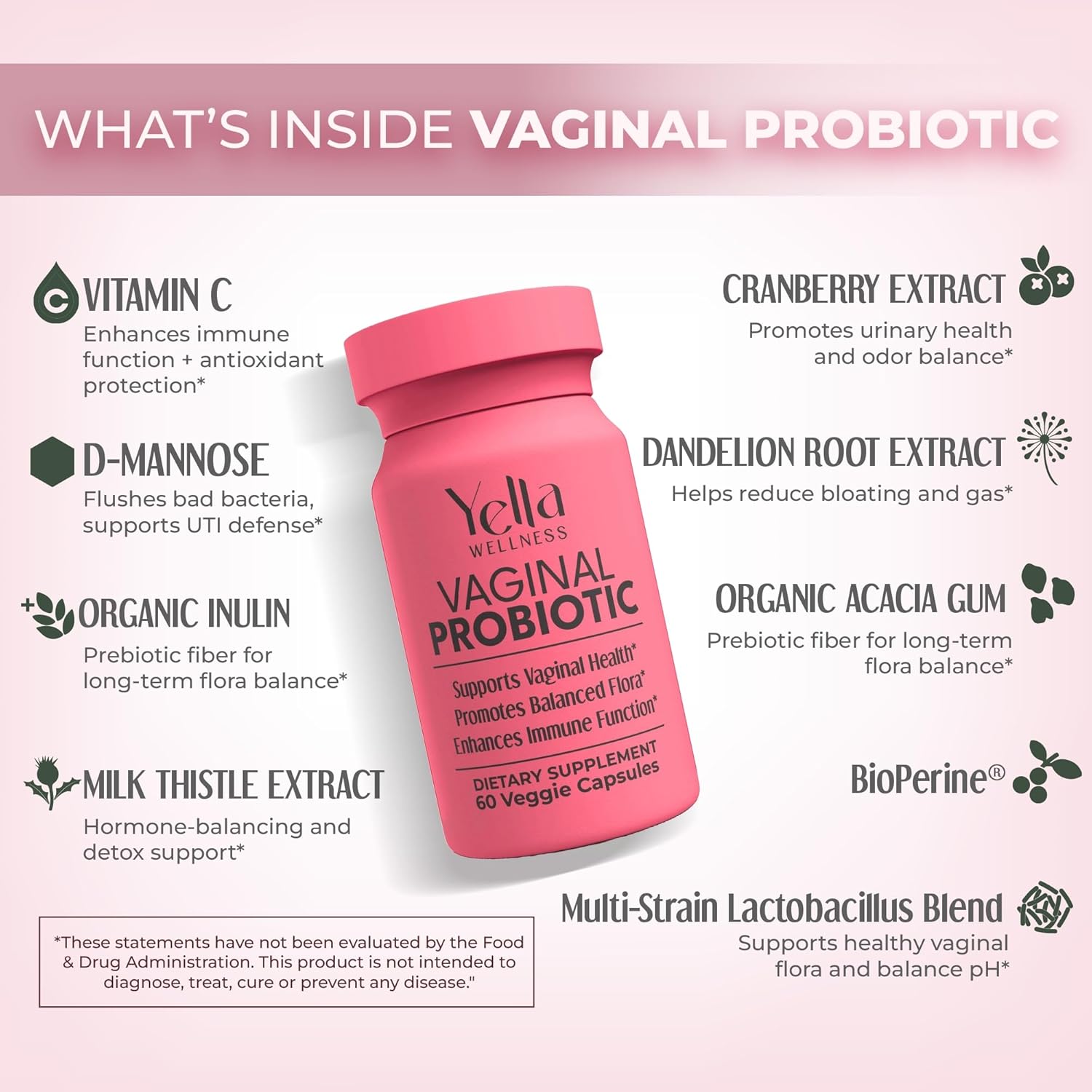 Vaginal Probiotics & Prebiotics for Women with Cranberry Extract | Supports Urinary Tract & PH Balance for Women | Probioticos Vajinal | Probiotics for Women's Vaginal Health- 60ct - Image 2