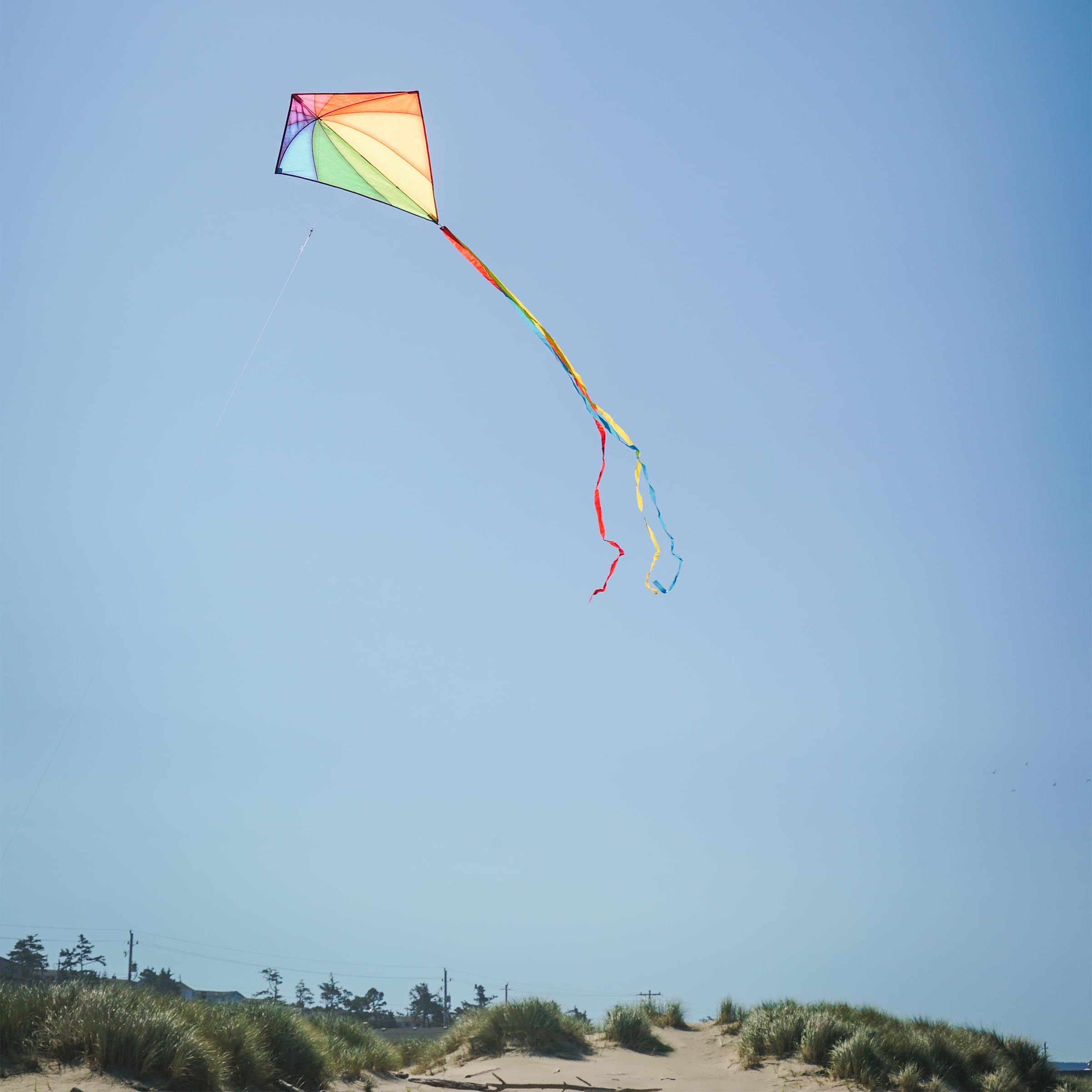 Sharks Camouflage 30" Diamond Kite | In The Breeze