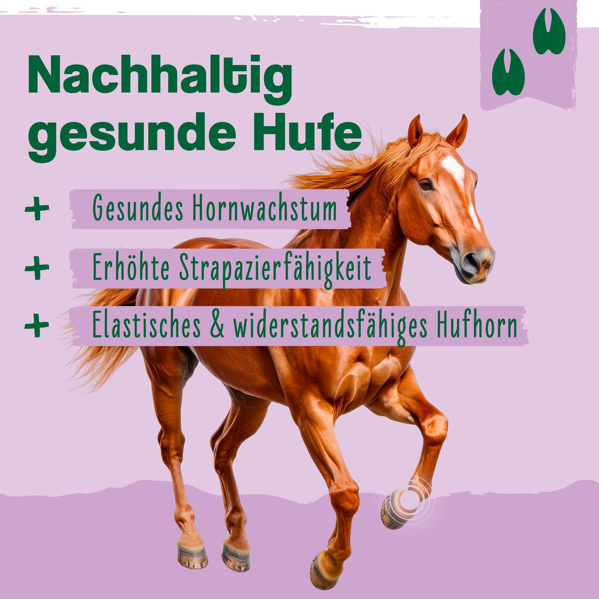 Ida Plus Biotin + Zink - Rundumversorgung – hochdosiert – VERGLEICHSSIEGER – Premium Zink für Pferde - verbessert Hufqualität - für Haut, Fell & Immunsystem - bei Mauke, Hufproblemen & mehr - 750g