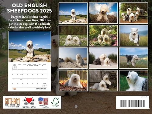 Vista 174 de Calendario Goldendoodle 2026 Golden Doodle mensual de pared calendario de 12 meses Fabricado en Estados Unidos