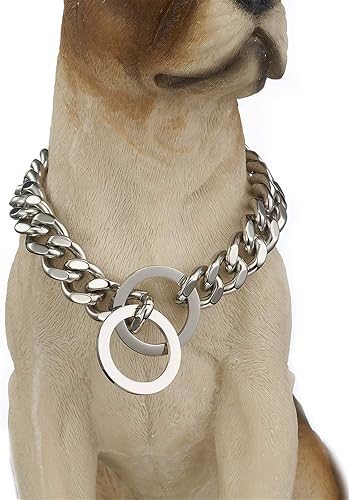 Collar de Perro de Acero Inoxidable para Perros Pequeños, Medianos y Grandes