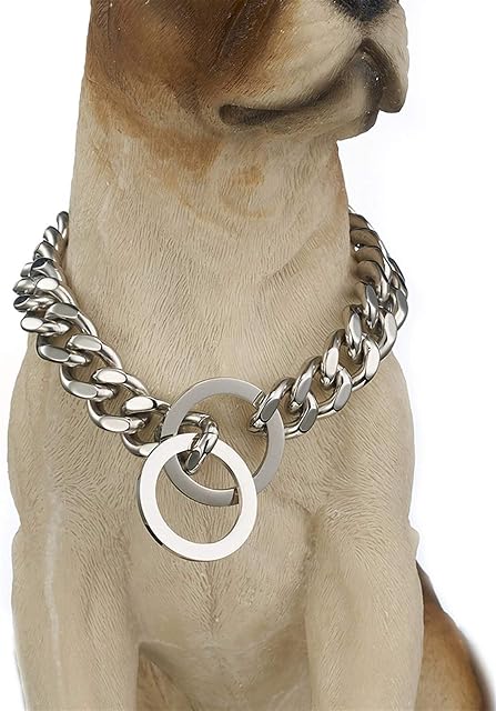 Collar de Perro de Acero Inoxidable para Perros Pequeños, Medianos y Grandes