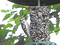 Vista 2 de JCs Wildlife Wild Bird Blend Premium - Cilindro pequeño de semillas de pájaro, 1.5 libras (4 cilindros)