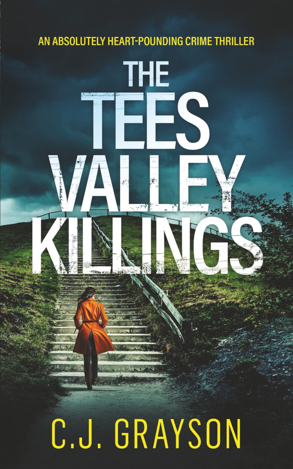 THE TEES VALLEY KILLINGS an absolutely heart-pounding crime thriller (Tanzy and Byrd)