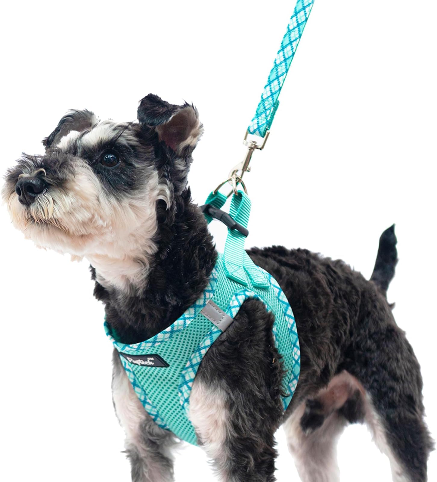 PUPTECKStep-in Dog Harness Small Dog No Pull Vest and Lead Set for Puppy Cats Outdoor Walking, Green SClimatePartner certified