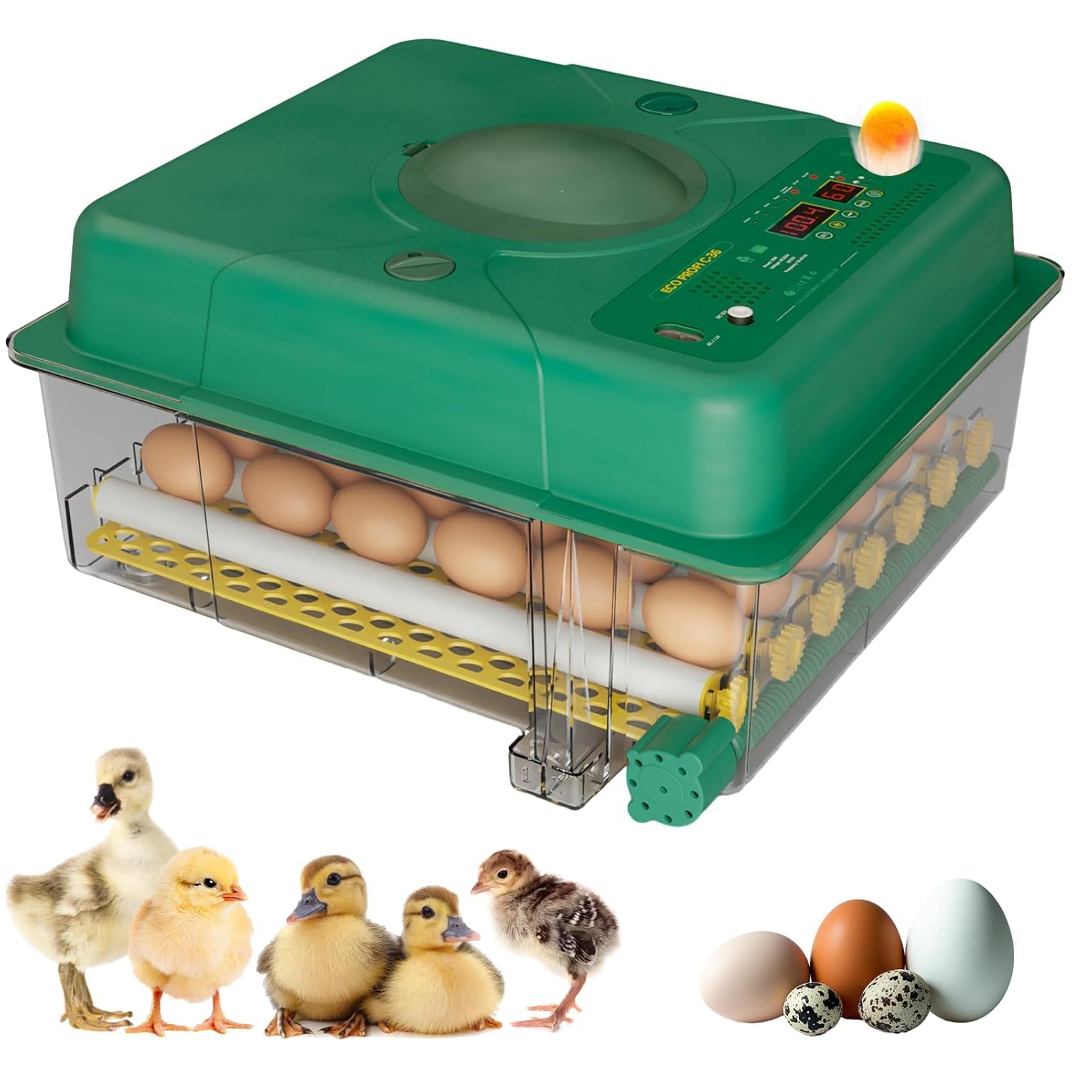 incubator for hatching egg, 36 eggs hatching incubator with automatic egg turning and humidity monitor for chicken/duck/goose/quail with built-in egg candler & alarms