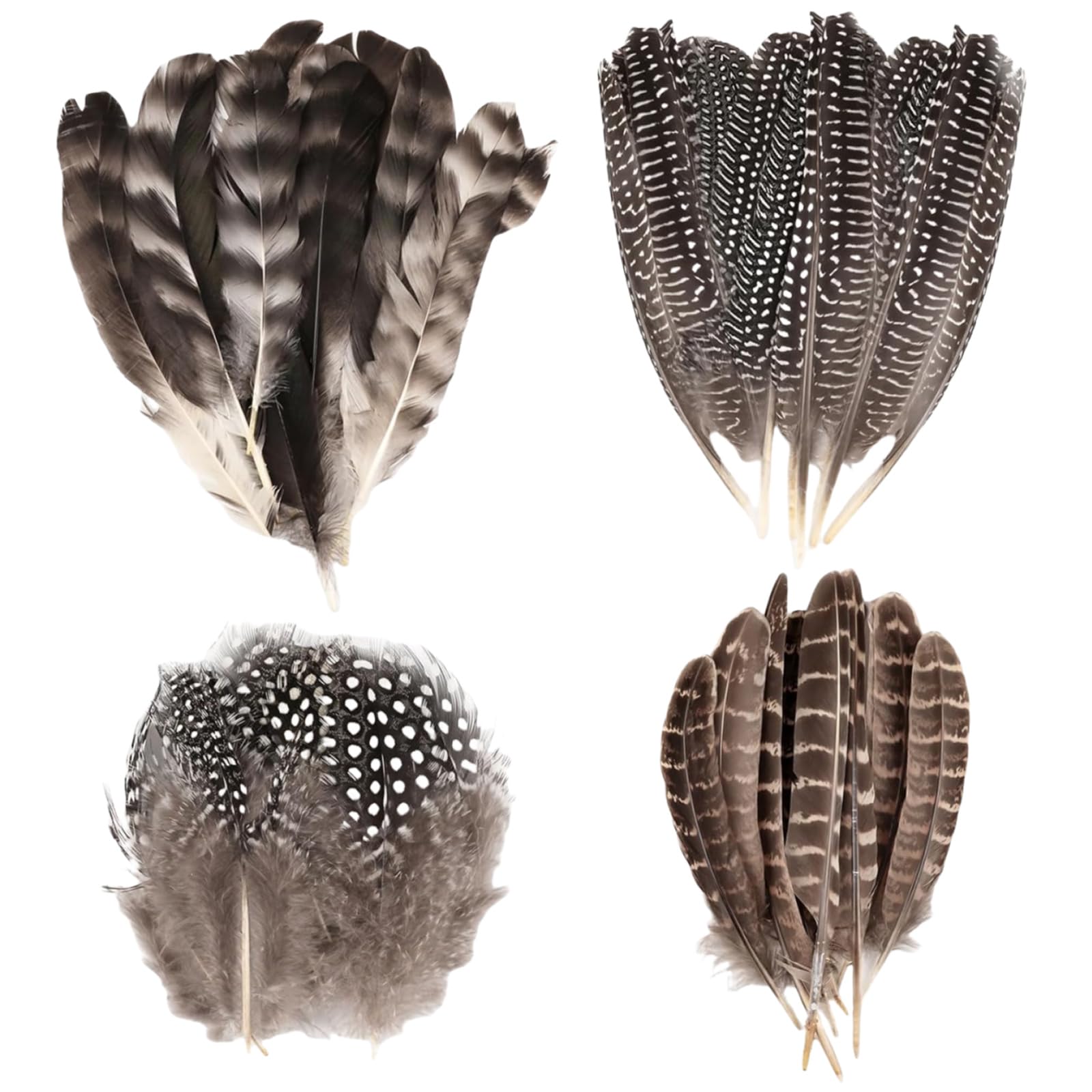 Feathers,Feathers for Crafting,50 Pcs 4 Styles Natural Feather,12-20 cm Brown Pheasant Feathers and Speckled Craft Feathers,for DIY Dream Catcher Hats Cosply Props Party Decoration