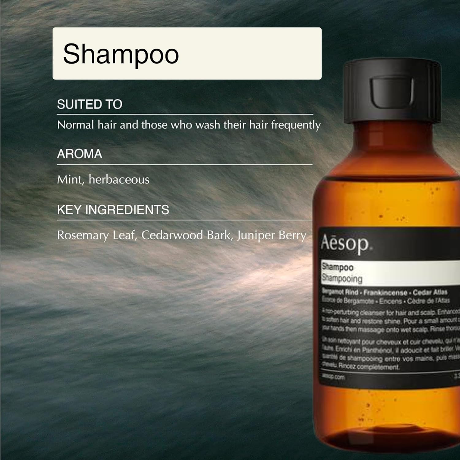 Amazon.com : Aesop Arrival Travel Shower Set (4-Piece) Hair & Body