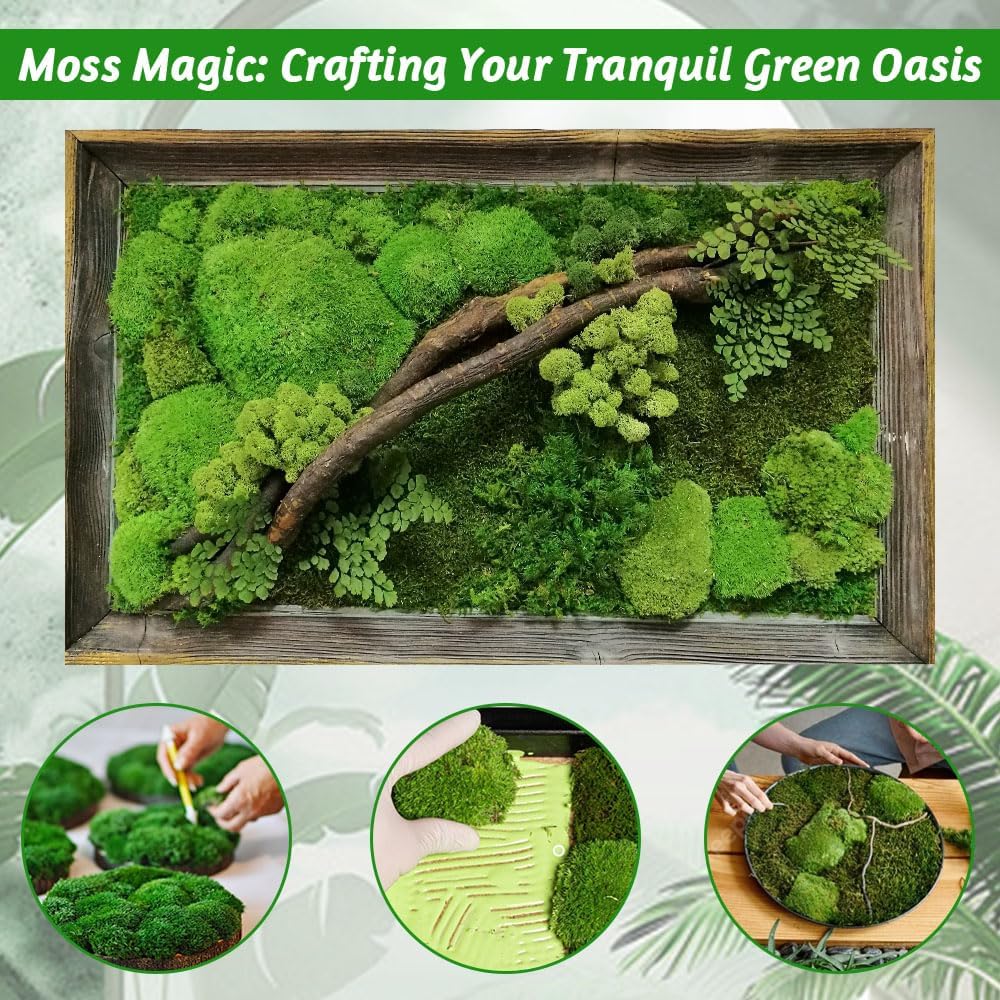0.6 sq.ft Yellow Green Preserved Pillow Moss Cushion Bun Natural for Plants Indoor Crafts Wall Art, DIY, Terrariums, Decorative for Planters
