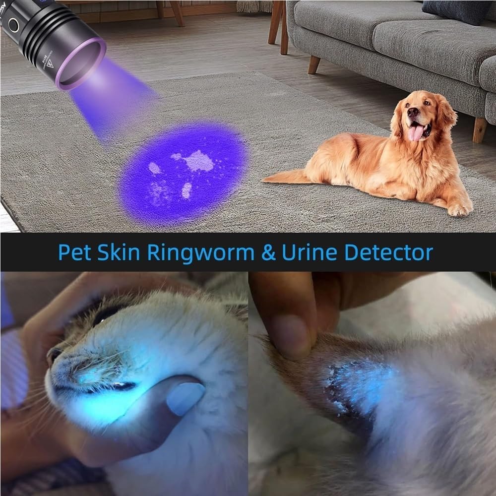 ALONEFIRE SV117 UV Flashlight illuminating pet urine on a carpet and showing pet skin ringworm under UV light.
