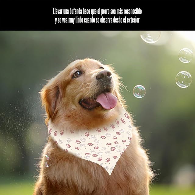 Foto 6 de 6 de TYFGRT 1 Codera para Perro, 1 Toalla para La Boca del Perro, Protección para Las Articulaciones del Perro