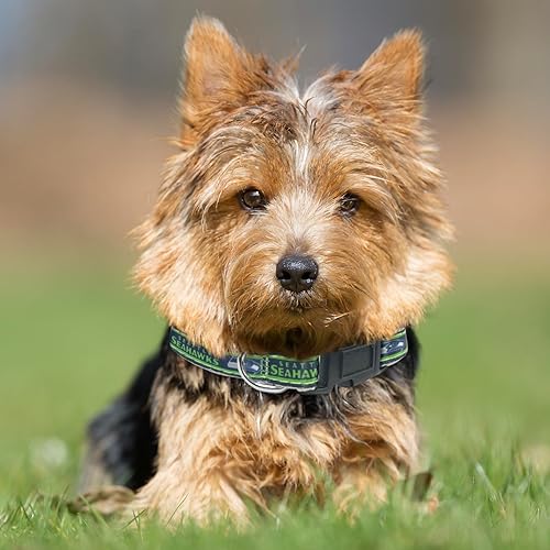 Miniatura 66 de NFL - Collar para perro de Philadelphia Eagles, collar mediano del equipo de fútbol para perros y gatos. Un collar brillante y colorido para gatos