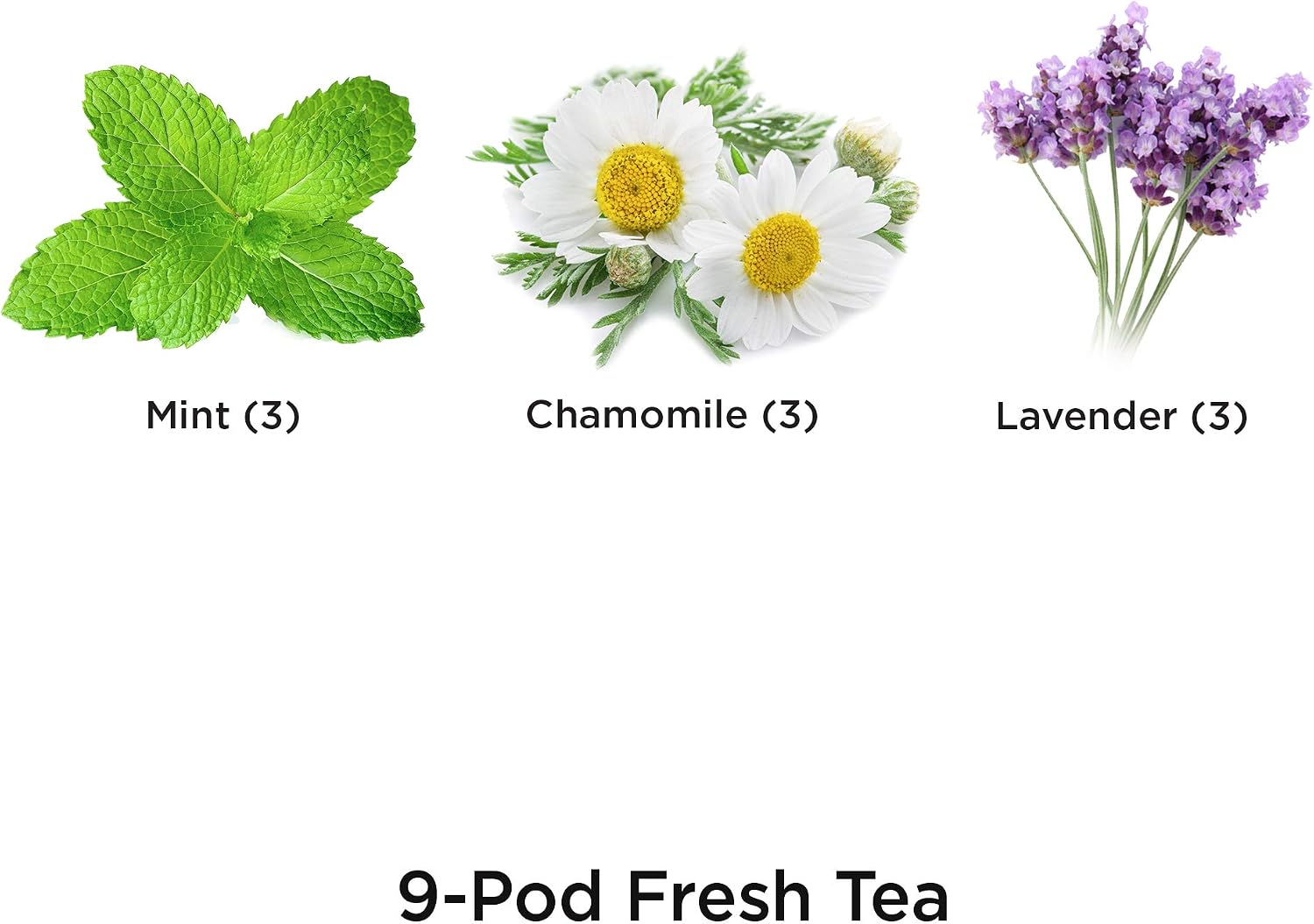 AeroGarden Fresh Tea 9 Seed Pod Kit