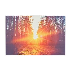 Klarstein Radiador Infrarrojos Pared Potencia 720W, Placa Calor Bajo Consumo, Panel Radiante Bajo Consumo, Panel Infrarrojos Calefaccion, Calefactores Infrarojos Panel Radiante Pared