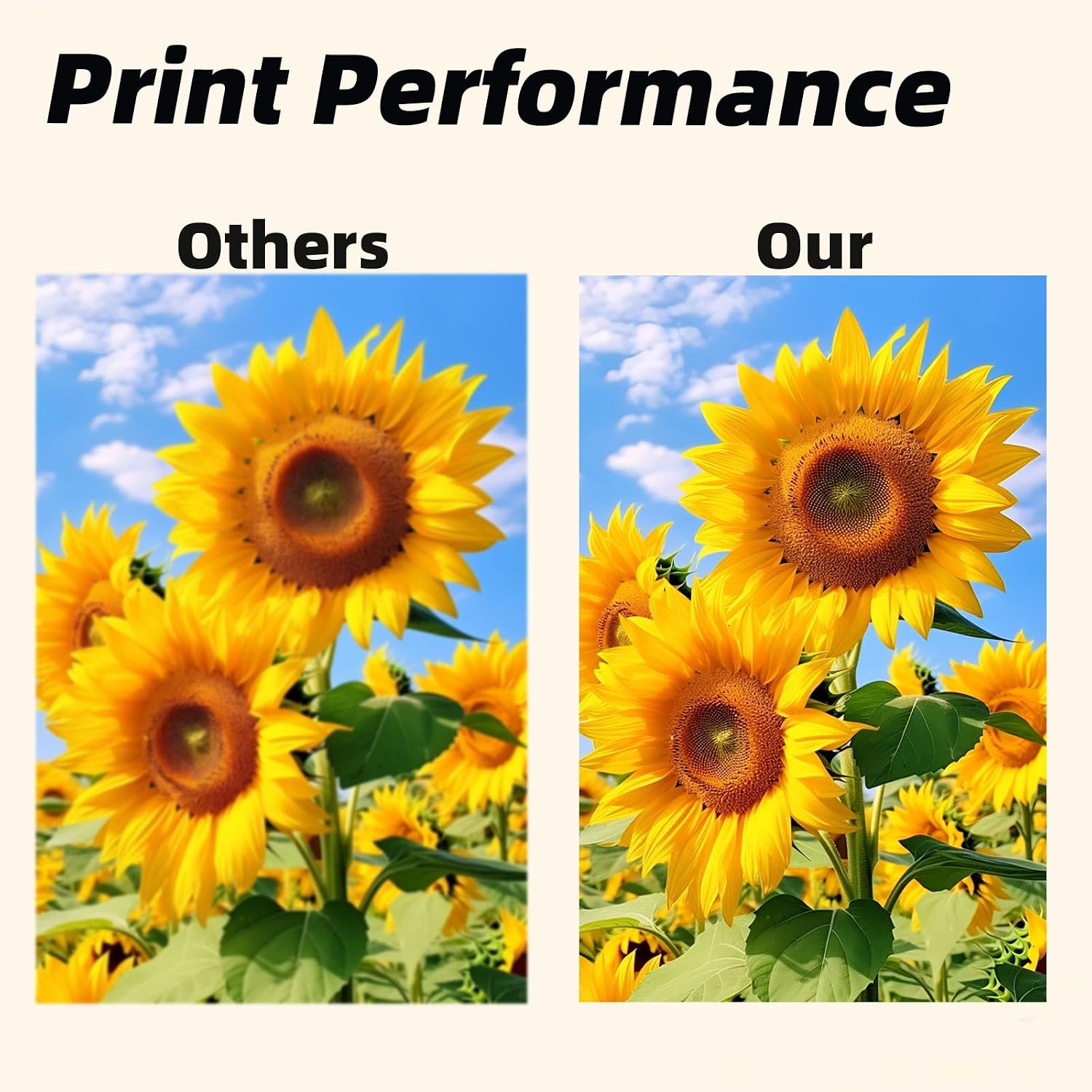 63XL 63 XL 63 Ink Cartridges for HP Printers Ink 63xl Black and Color Ink Cartridge Combo Pack for HP Deskjet 4650 5740 76U61 1111 2130 2131 3630 3632 3830 4520,Black x2