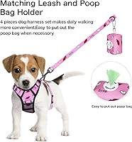 Vista 111 de Petmolico - Juego de arnés para perro sin tirones, 2 correas de sujeción con asa de fácil control, chaleco reflectante para razas pequeñas, arnés
