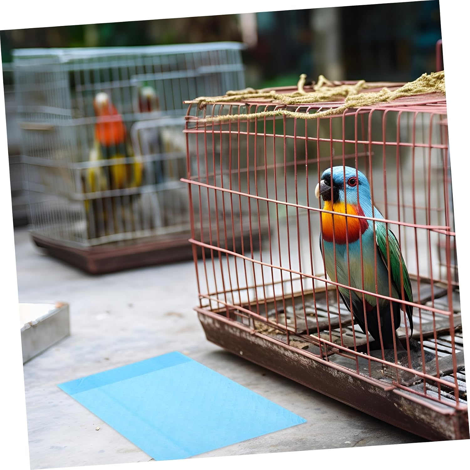10Pcs Disposable Parrot Cage Chassis Pad Paper Water Absorbing Bird Cage Liner Breathable Leak Design for Bird Environments for Pet Bird Owners