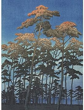 Hasui Kawase Hikawa Park Omiya Japanese Woodcut Unframed Wall Art Print Poster Home Decor Premium