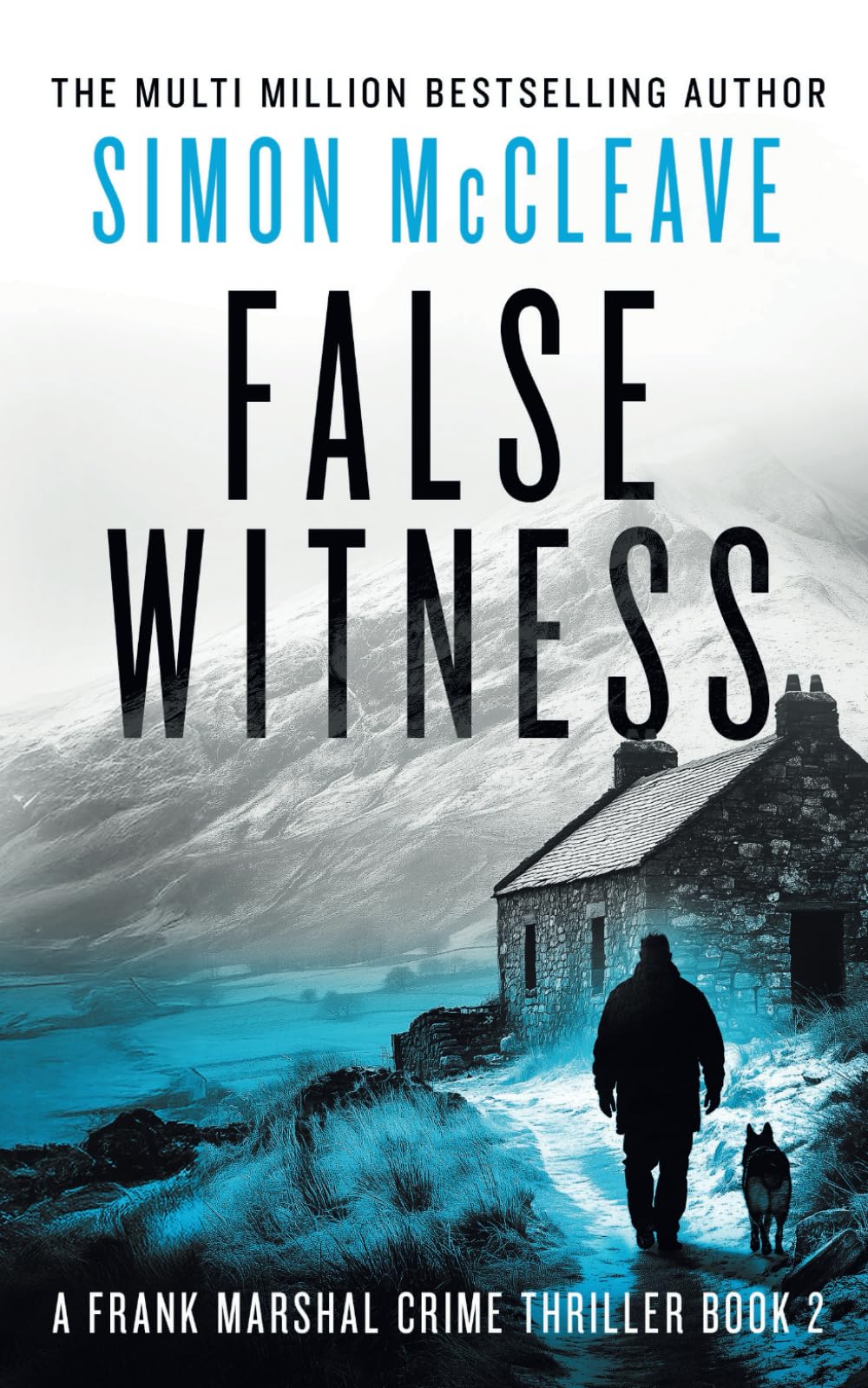 False Witness: A Frank Marshal Crime Thriller (Marshal of Snowdonia)