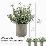 Plantes artificielles décoratives en pots 3 - Mini Plantes en pot: Eucalyptus en plastique, Feuilles de Chrysanthemum, gazon Jade Leaf. Faux intérieur pour bureau, Table à café, Mur, Décoration de chambre