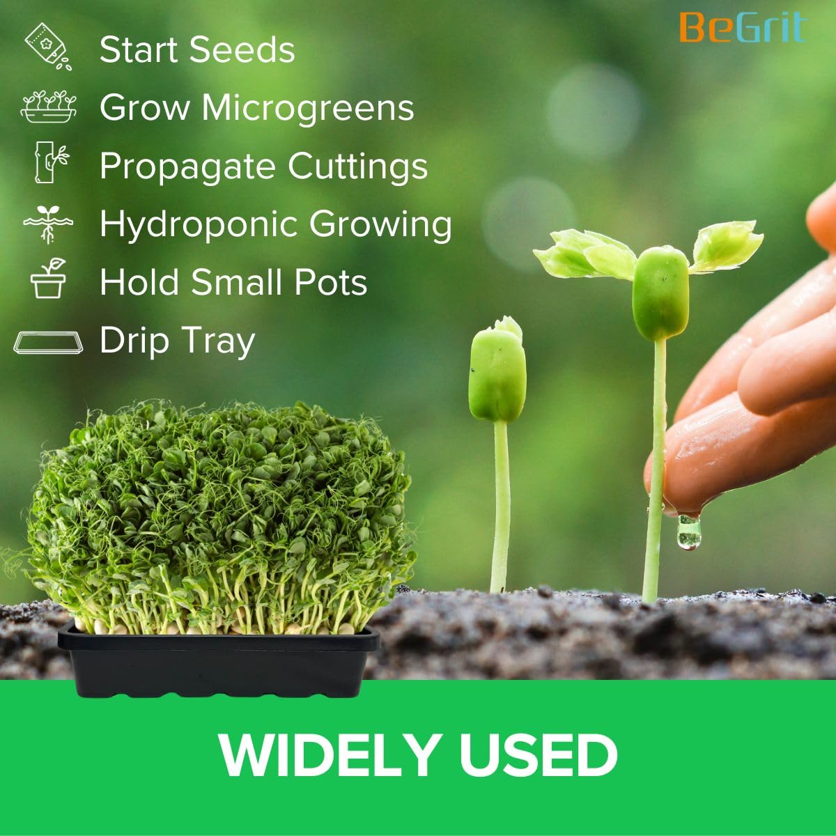 BeGrit 1010 vassoi per la coltivazione senza fori di scarico, vassoio profondo resistente, vassoio per microgreens, vassoio per semi, vassoio per piantine, confezione da 5, nero