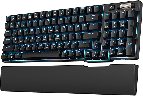 RK ROYAL KLUDGE RK96 - Teclado mecánico intercambiable en caliente con 90% de modo triple BT5.02.4GUSB-C con reposamanos magnético, teclado