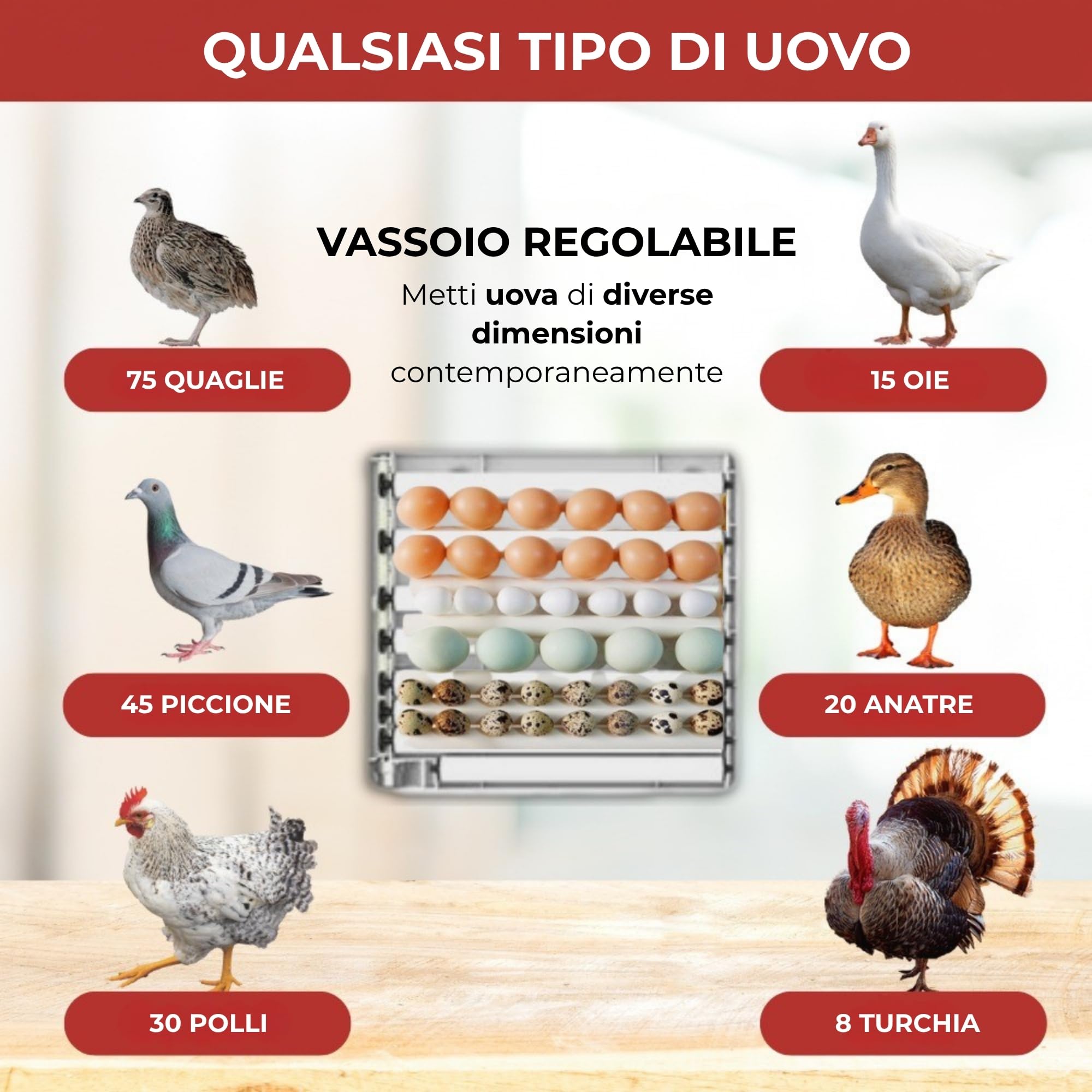 Arcanix Incubatrice Automatica per 30 Uova di Gallina, con Volteo Automatico, Controllo di Temperatura e Umidità, Termometro, Chocadeira Automatica per Uccelli