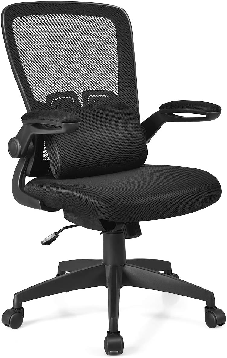 Giantex Ergonomic Desk Chair w/Portable Lumbar Pillow, Mesh Padded