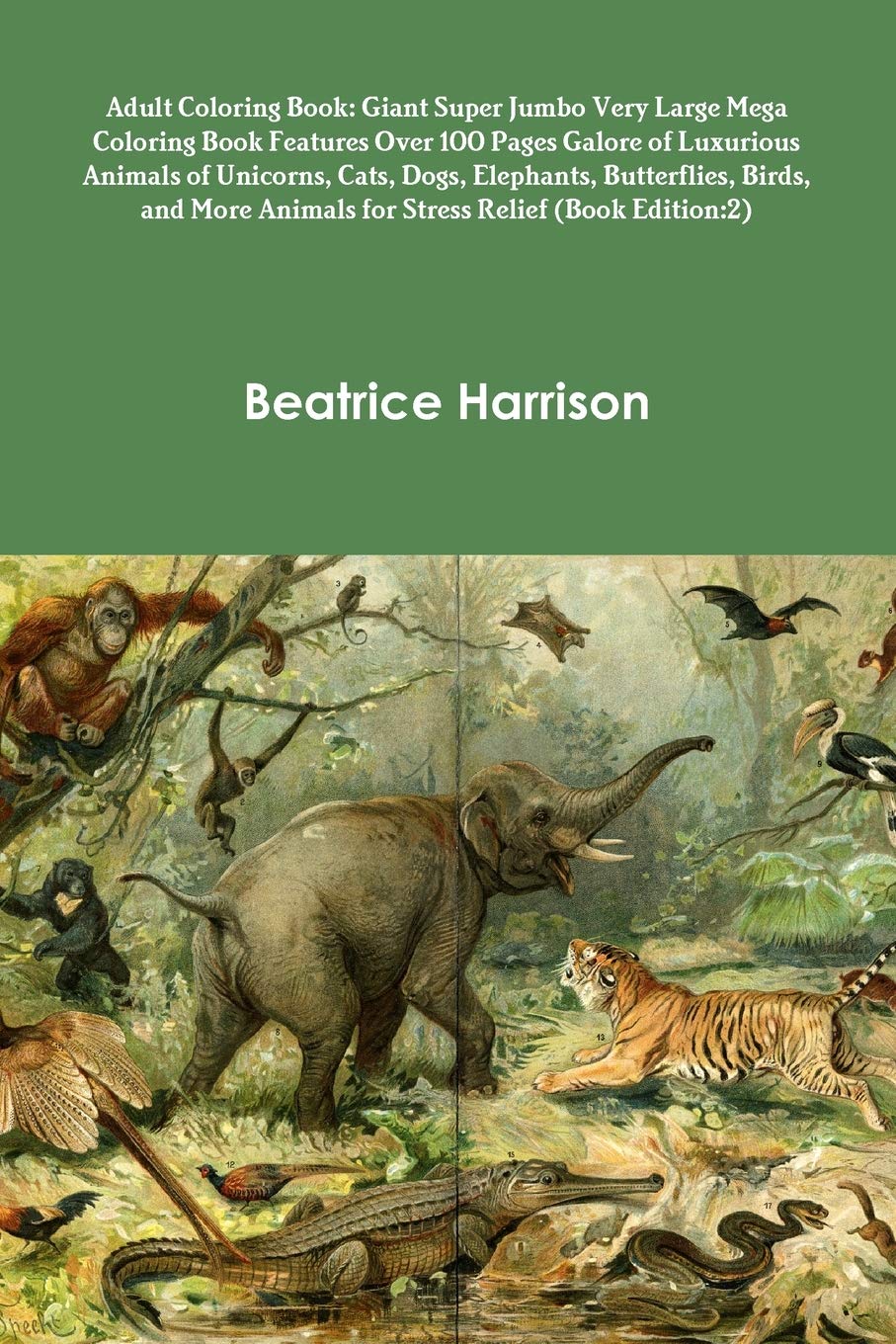 Livre de coloriage pour adulte contre l'anxiété avec grand album animaux luxueux