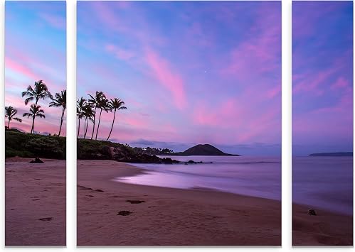 Trademark Fine Art Secret Beach by Pierre Leclerc, Large Three Panel Set