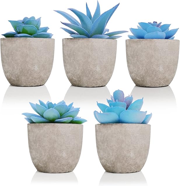 SAJANDAS Blue Artificial Succulent Plants in Pots, Set of 5 Artificial Succulent Plants Potted, Fake Succulent Plants Indoors in Grey Pots for Home, Office Desk Table Decorations (Blue)