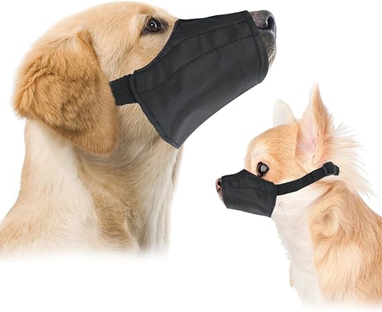 different muzzles for dogs
