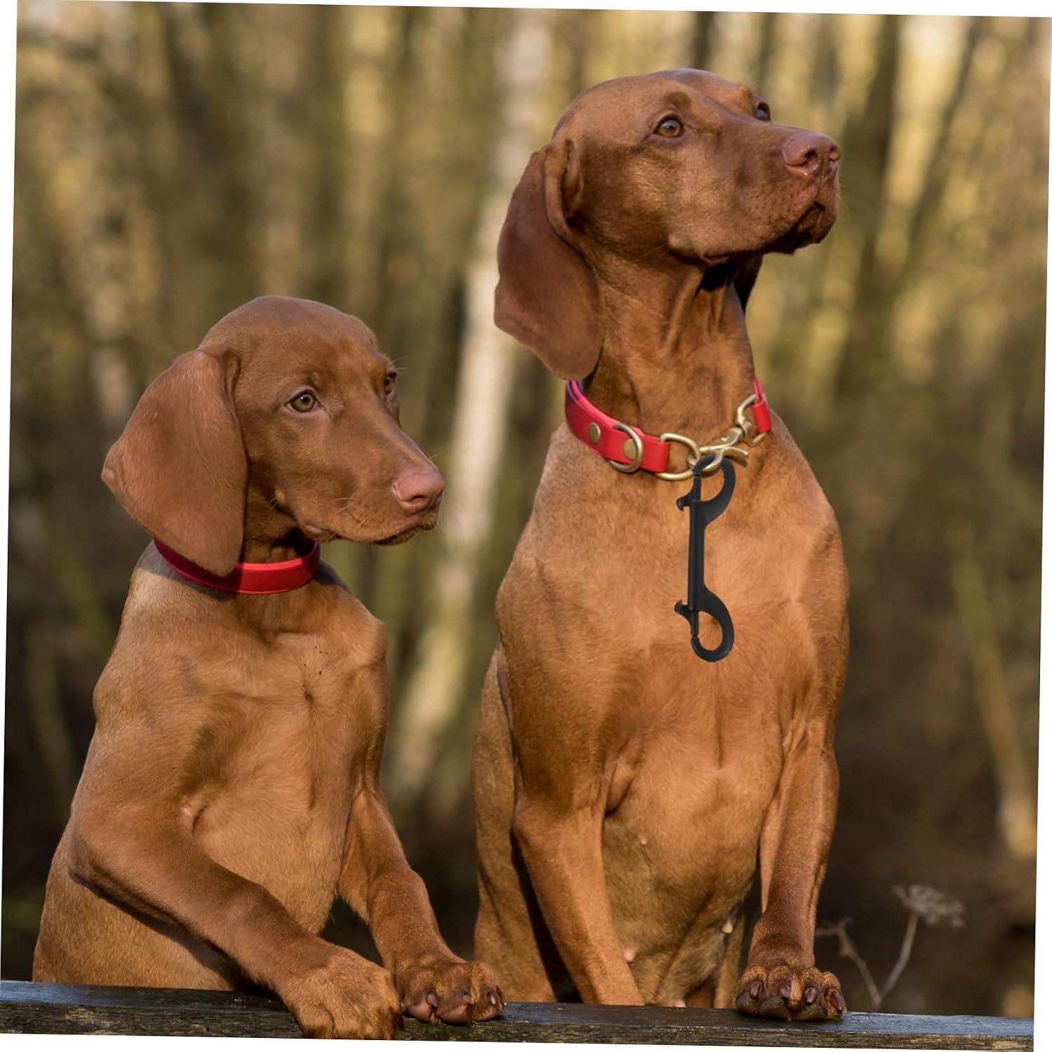 2pcs Double Ended Trigger Hook Clip Heavy Duty Snap Hook Versatile Clip for Outdoor Horse and Pet Use Design