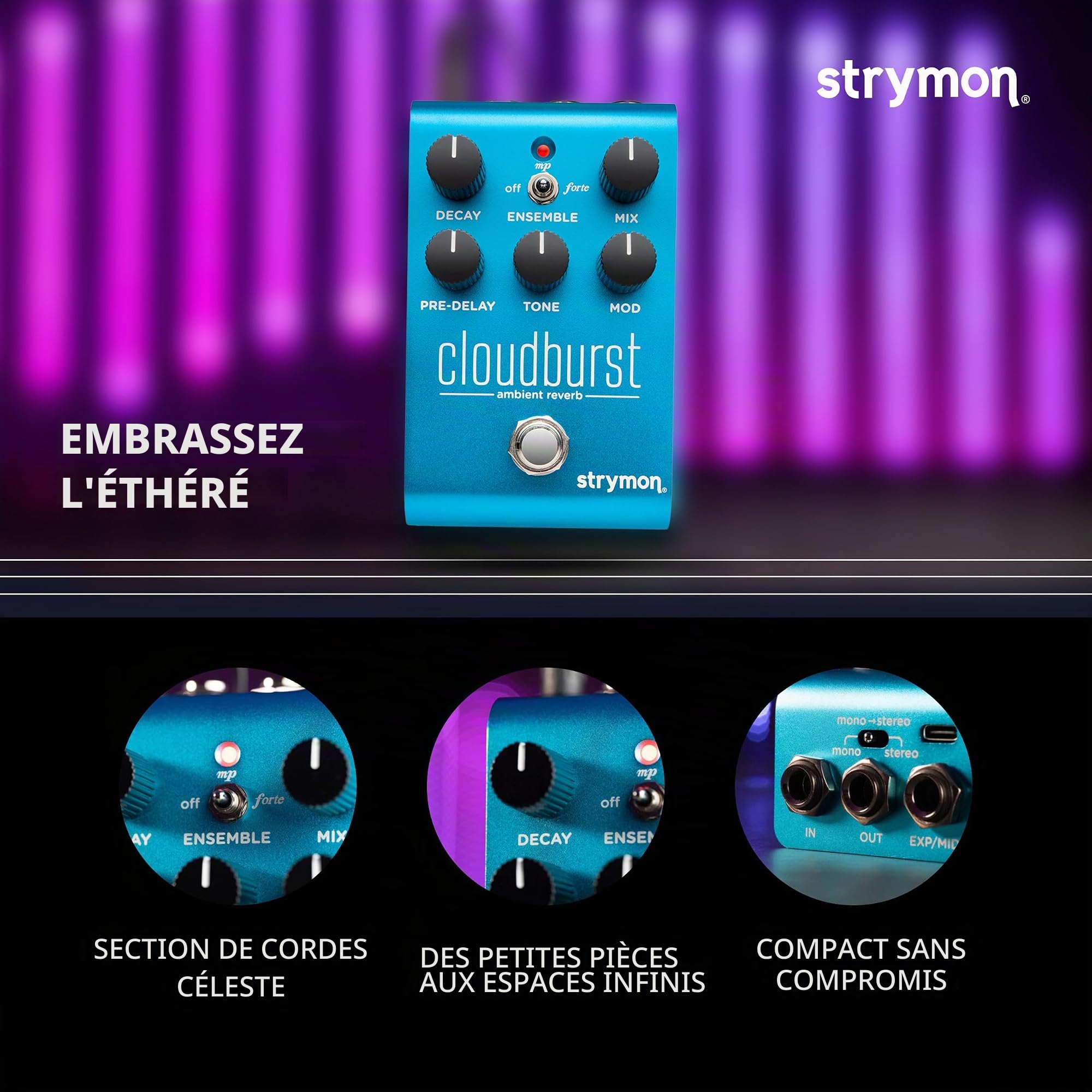 Strymon Cloudburst