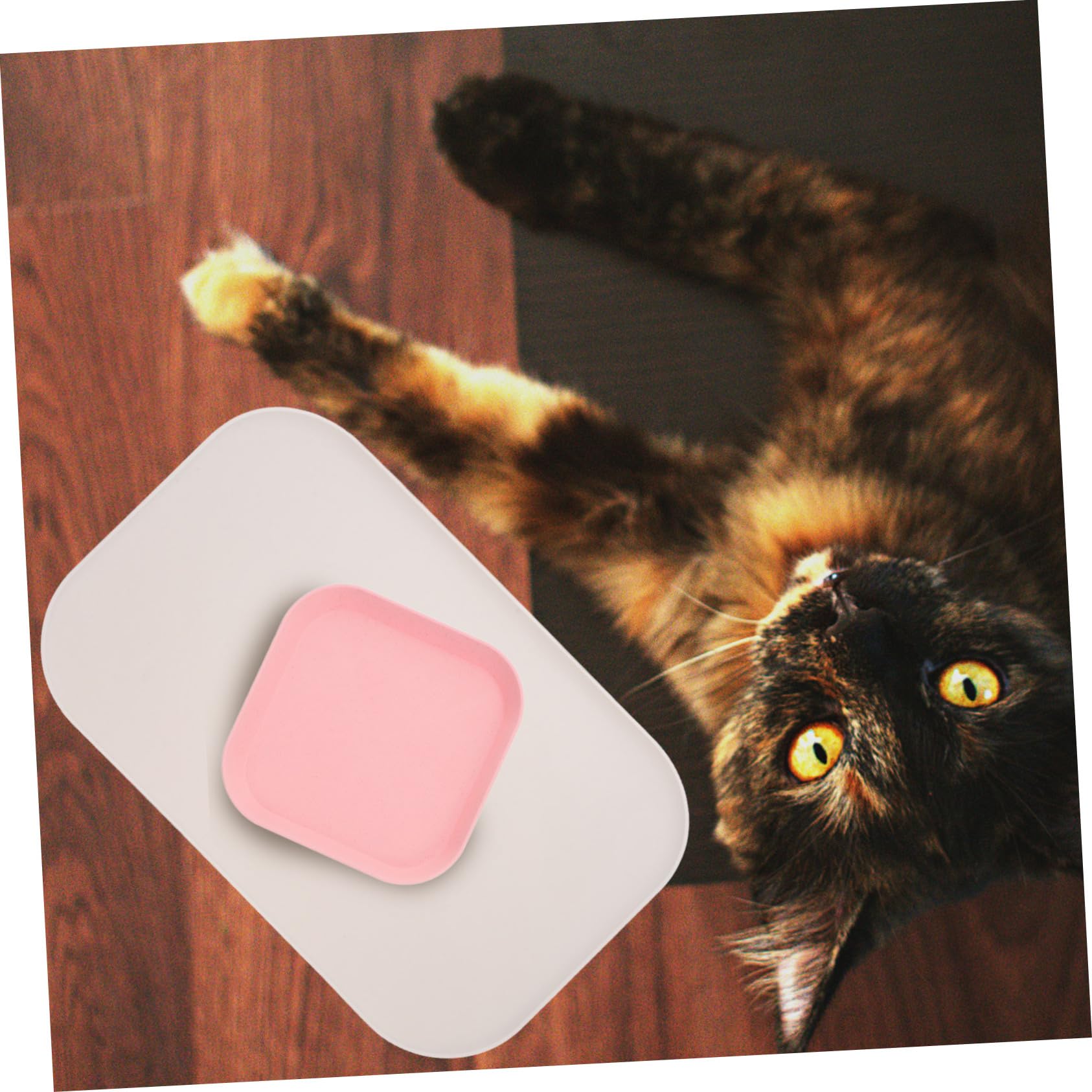 Yardwe 5stücke Puppy Feeding Dish Mat wasserdichte Silikonmatte Mit Erhöhtem Für Haustierfutternäpfe rutschfest Und Leicht Zu Reinigen Für Hunde Und Katzen Verhindert Verschütten