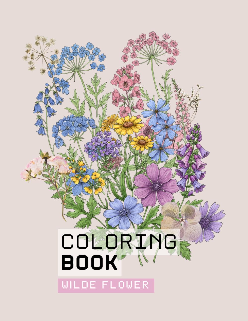 Aesthetic Wild Flowers – Botanical Coloring Book for Adults