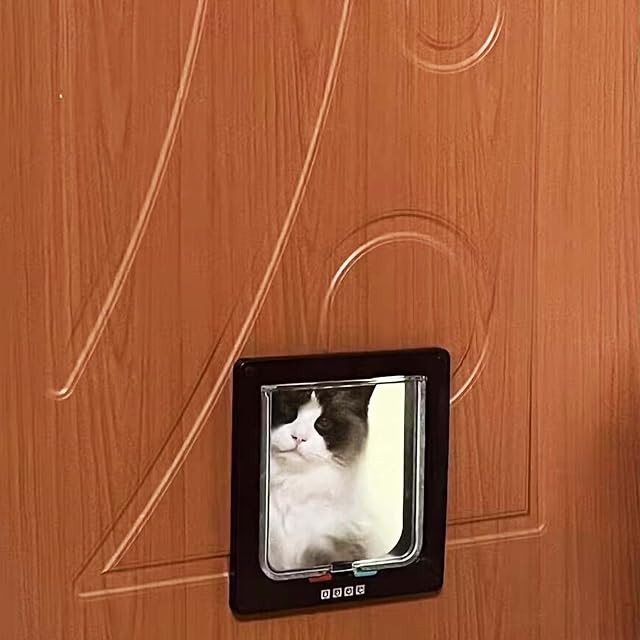 Foto 2 de 7 de Moaobooh - Gato con Cierre de 4 vías, Puerta para Mascotas, Gato y Perro con túnel