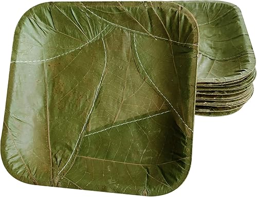Miniatura 3 de Palash-Sal Leaf Plato de un solo uso | Natural, biodegradable, compostable en el patio trasero, certificado USDA, fiesta, festival, boda, barbacoa,