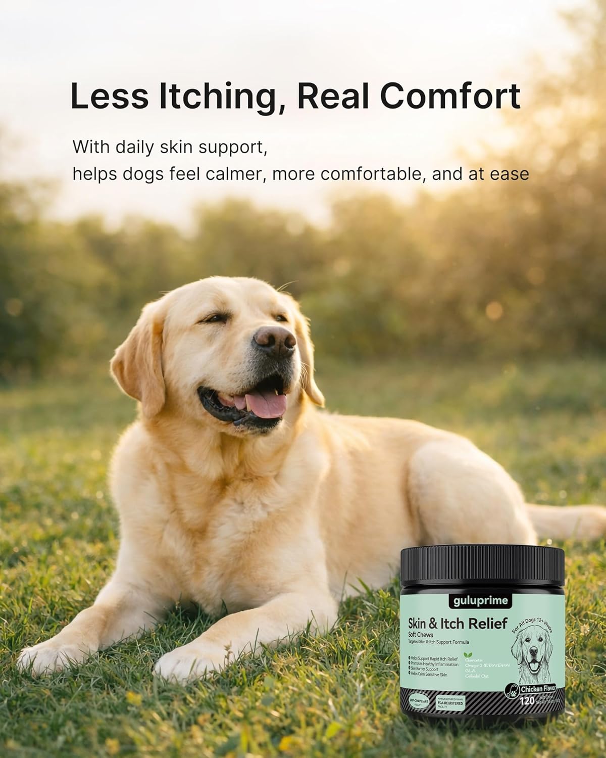 Dog Itch Relief Chews for Dogs – Itchy Paws & Paw Licking Support, Anti Itch Soft Chews for Itchy Skin, Daily Skin & Coat Supplement, 120 Chews