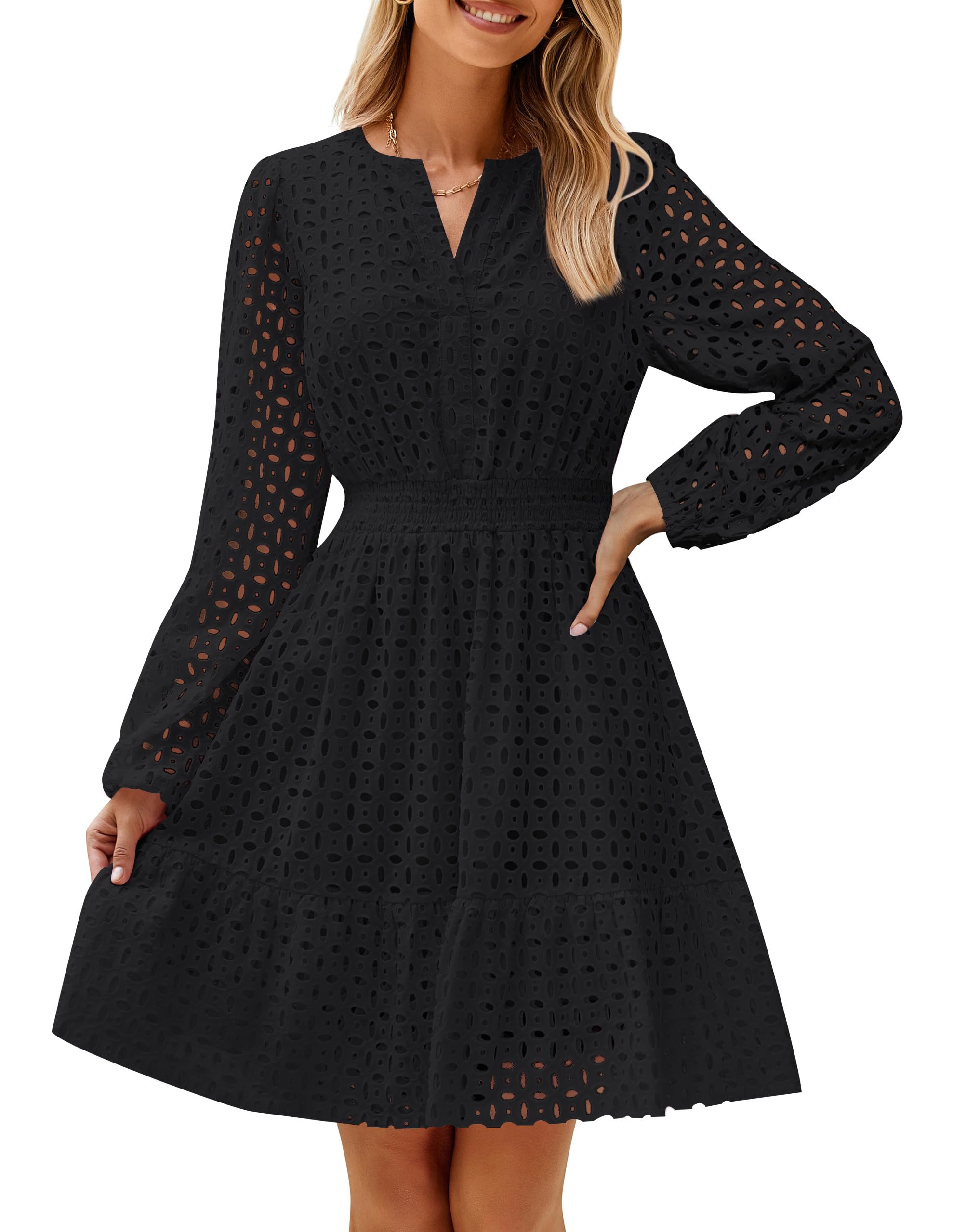 ZESICA Womens Fall Long Sleeve Eyelet Embroidery Mini Dress