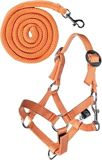HKM Kinder Hobby Horsing Basic Halfter und Strick, Orange, One Size