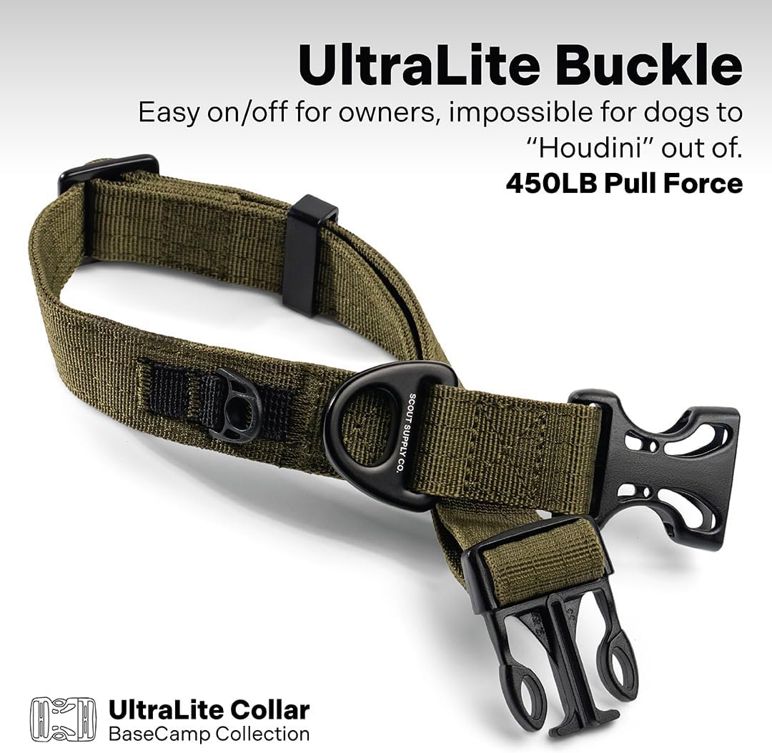 Nylon Dog Collar – Adjustable Heavy Duty Premium Collar with Quick-Release Buckle & D-Ring for Dog Tags | Ultra Lightweight Nylon Collars for Small, Medium & Large Dogs (Green, L: 16" to 24")