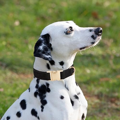 Miniatura 4 de Ewinoom Collar suave para perro con hebilla de metal, ajustable, duradero, cómodo, de pana de algodón, para perros grandes, collares de terciopelo