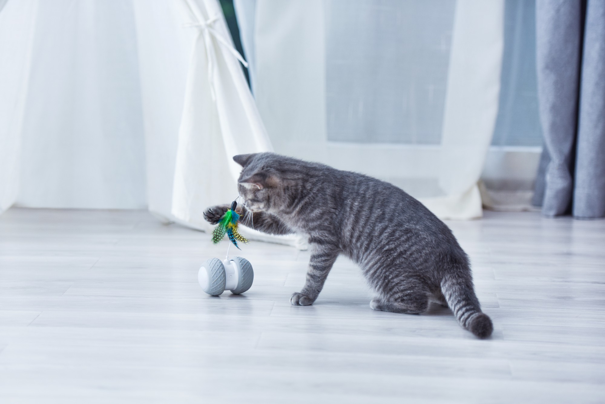 BENTOPAL Automatic Cat Toys Interactive Cat Feather Toys, Pet Exercise Toys, Electric Cat Toys for Indoor Cats / Kitten… - Image 8