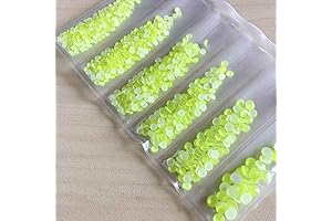 Fluorescence Neon Decor Gems, Shimmering Crystals for Show-Stopping Nails