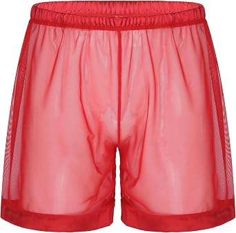 MSemis Mens See Through Sheer Mesh Swim Trunks Boxer Briefs Beach Board Shorts Underwear Clubwear