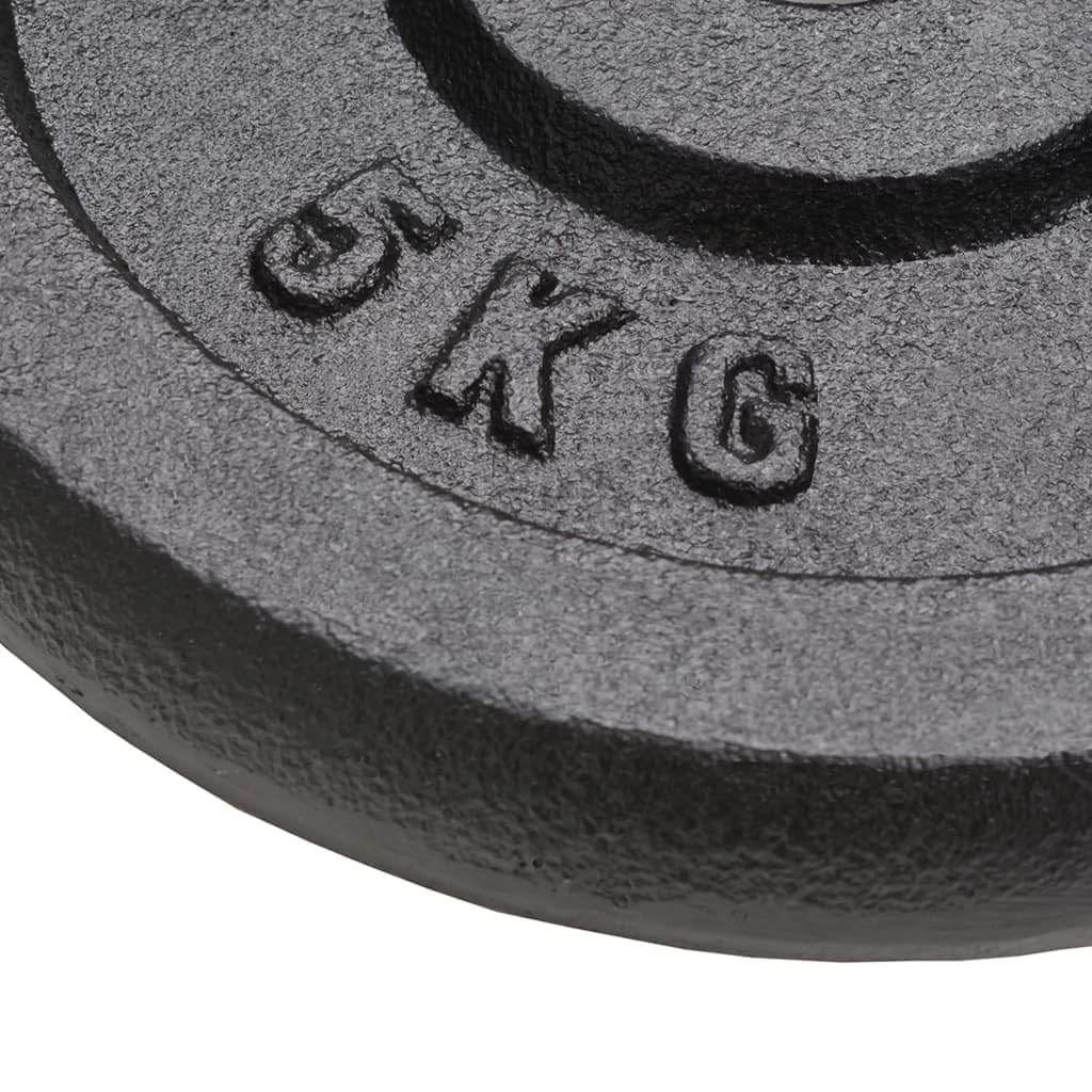 Genérico Discos de Pesas de Hierro Fundido 4 uds 2x10 kg+2x5 kg,Fitness y musculación,Levantamiento de Pesas,Peso libre-91395