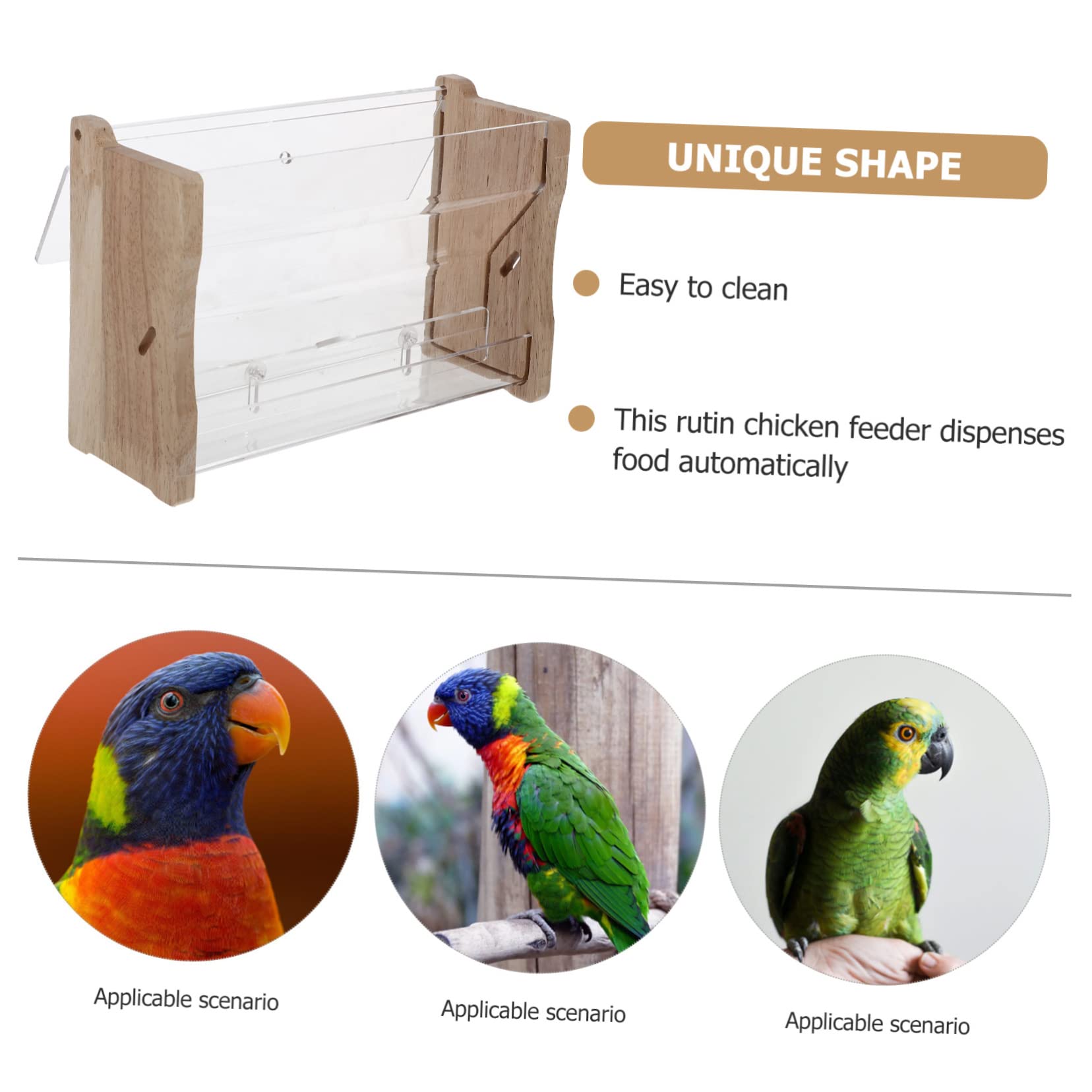Toddmomy Mangeoire Automatique en Acrylique pour Poulets à Rutine et Perroquets, Distribution Pratique, Robuste, pour Cage, Beige